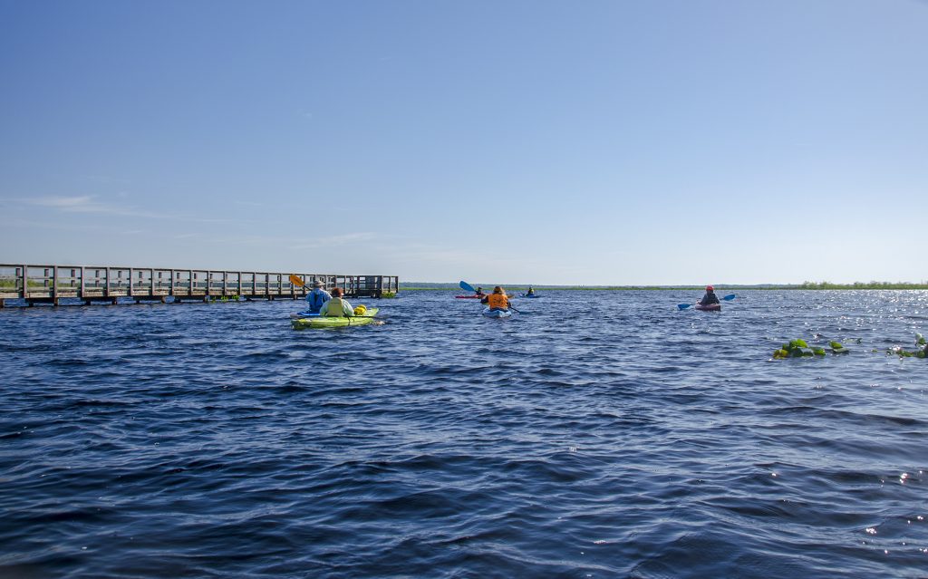 Welcome to Florida Paddle Notes - Paynes Prairie