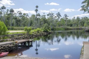 Waccasassa-Public-Boat-Ramp | Florida Paddle Notes