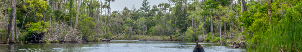 image-featured-waccasassa-river