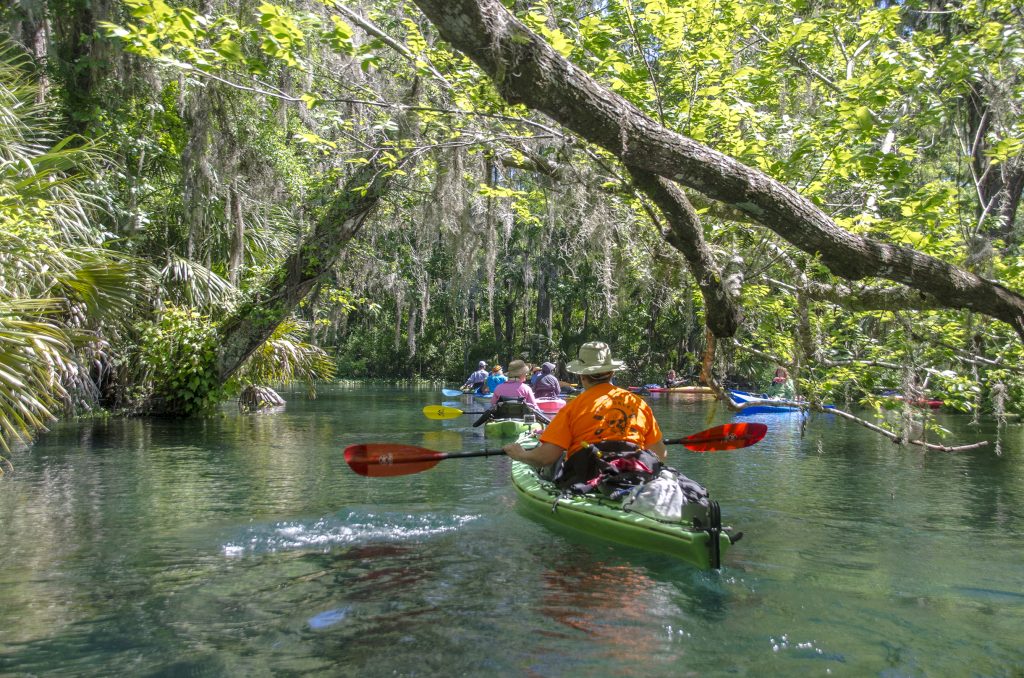 Fort King Waterway Canopy