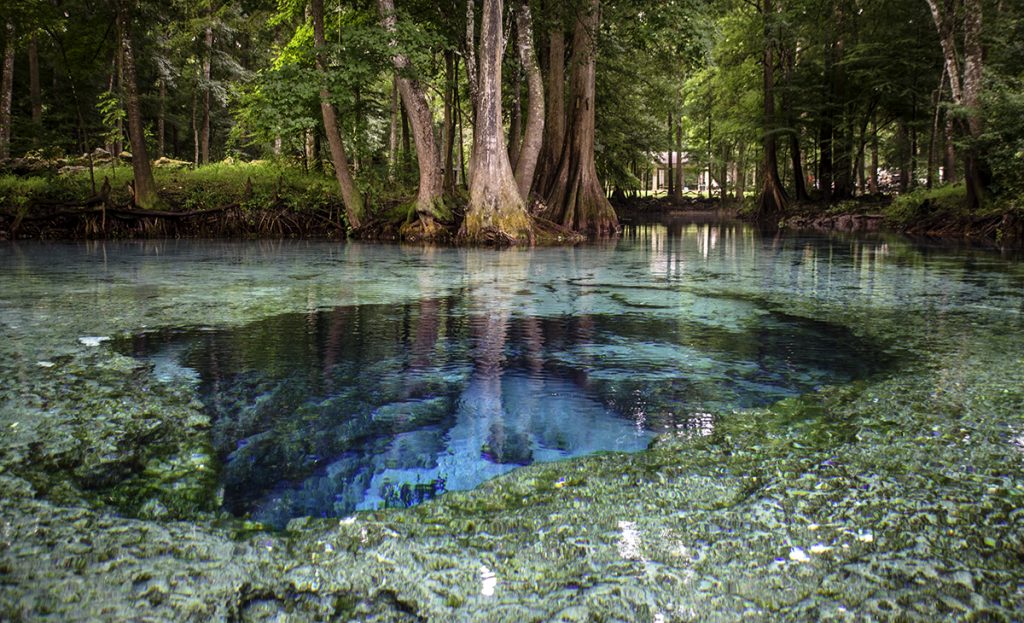 Devil's Eye Spring