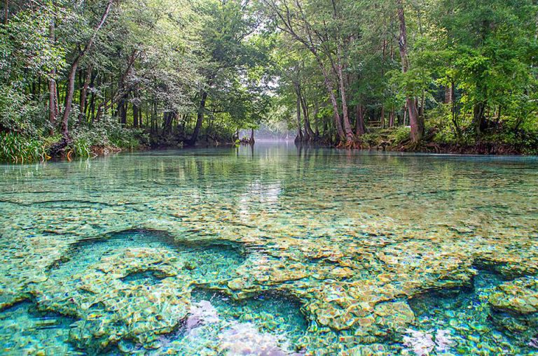 Welcome to Florida Paddle Notes - Santa Fe River