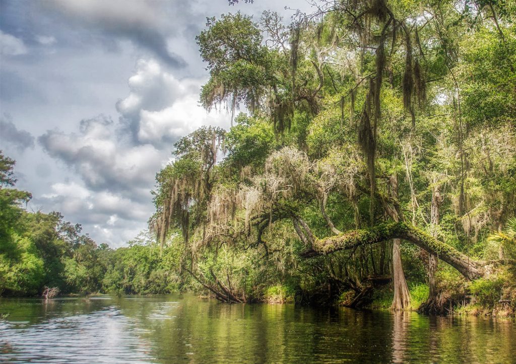 The Santa Fe River