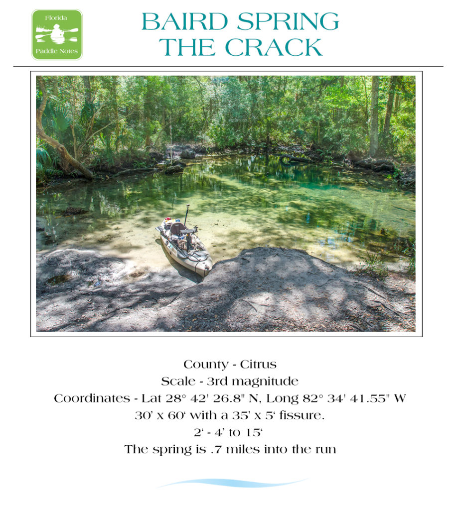 Baird Spring - The Crack