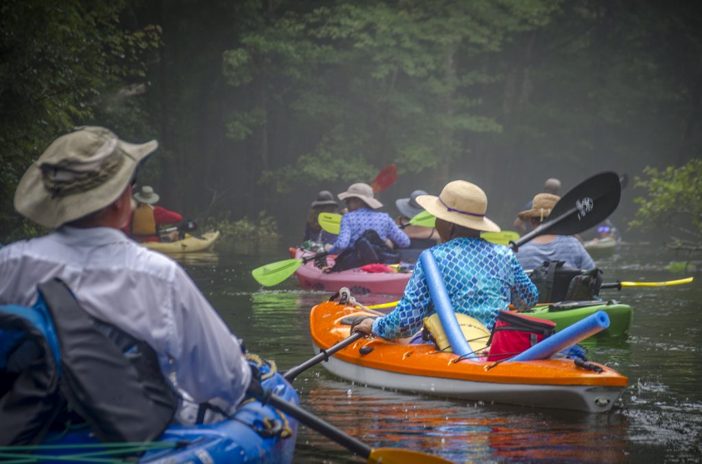 Paddling Into the Mystic