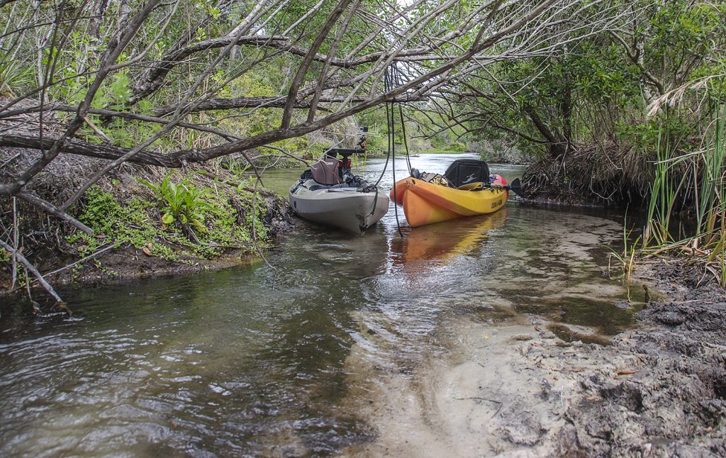 Side Run-Juniper Creek