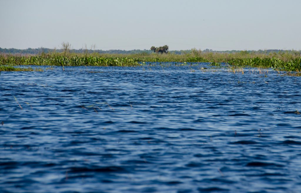 A flooded Paynes Prairie