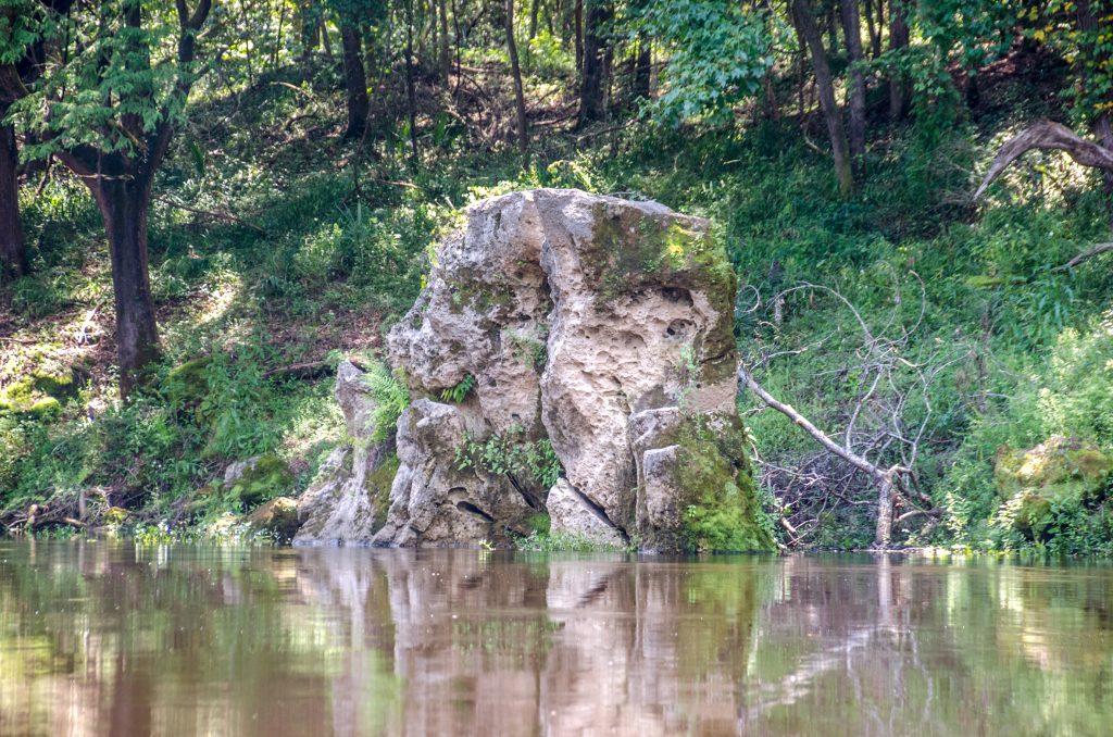 Limestone Boulder on the Withlacoochee