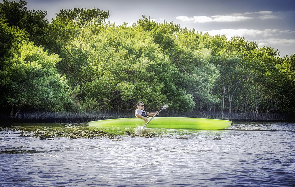 Paddler tipping over an oyster bed