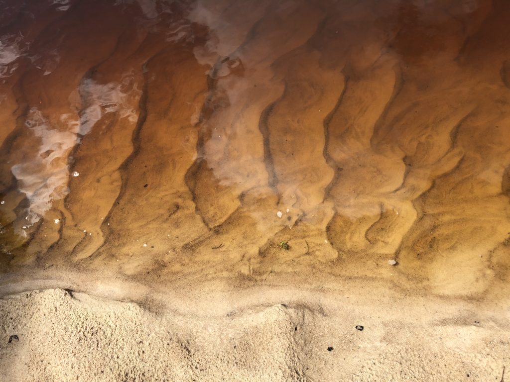 Tannin Shoreline