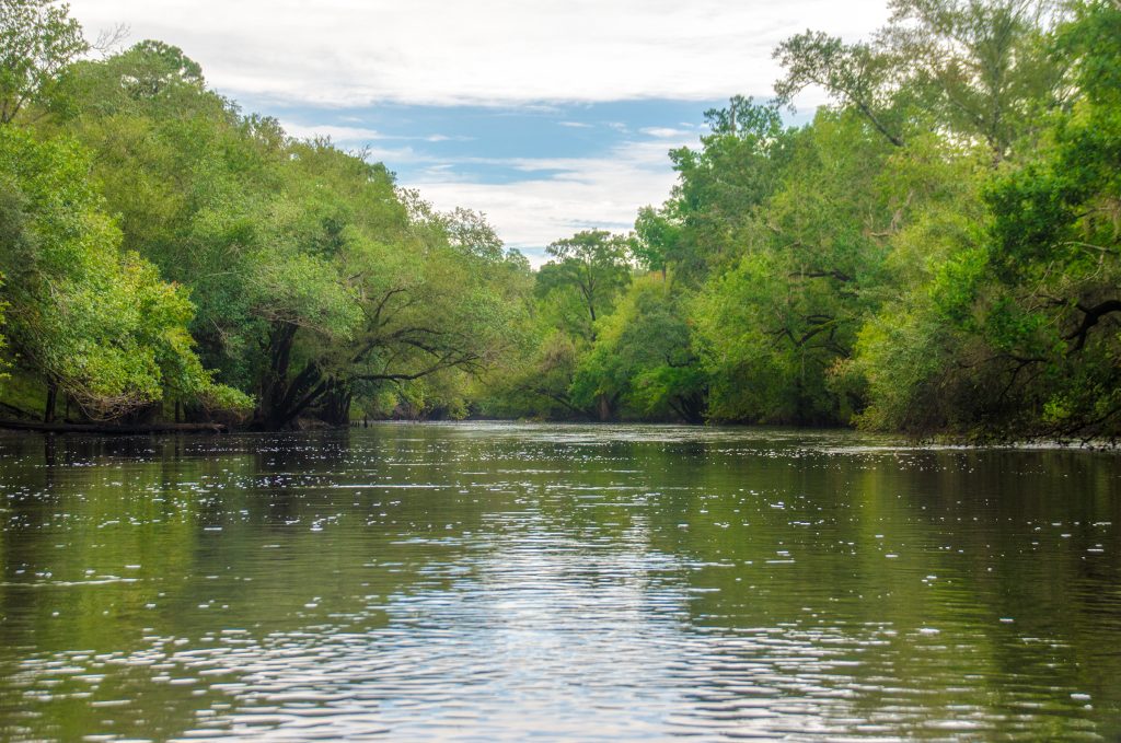 The Withlacoochee River-Georgia  Florida Paddle Notes