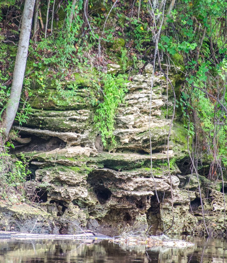 Layered Limestone