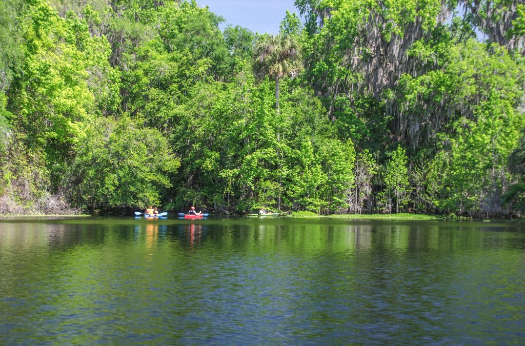 Navigating Alachua Sink  Florida Paddle Notes