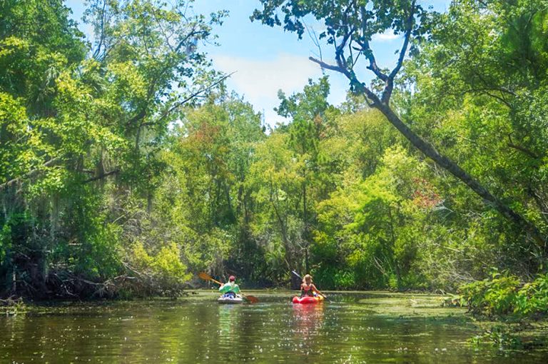 Welcome to Florida Paddle Notes - Mud Spring