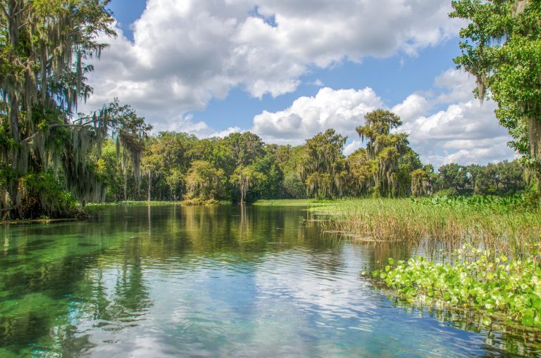 welcome-to-florida-paddle-notes-rainbow-river-florida-paddle-notes