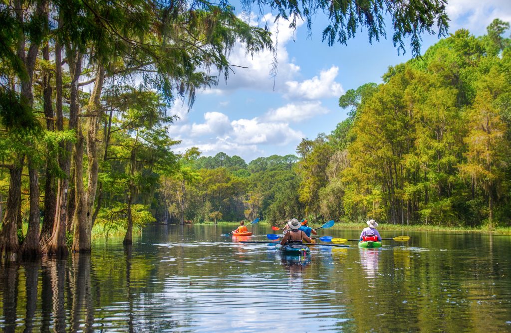 BGA on Rainbow River