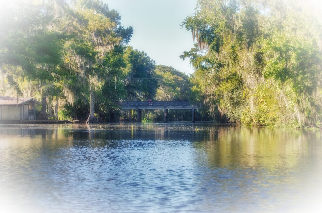 Cross Creek Bridge