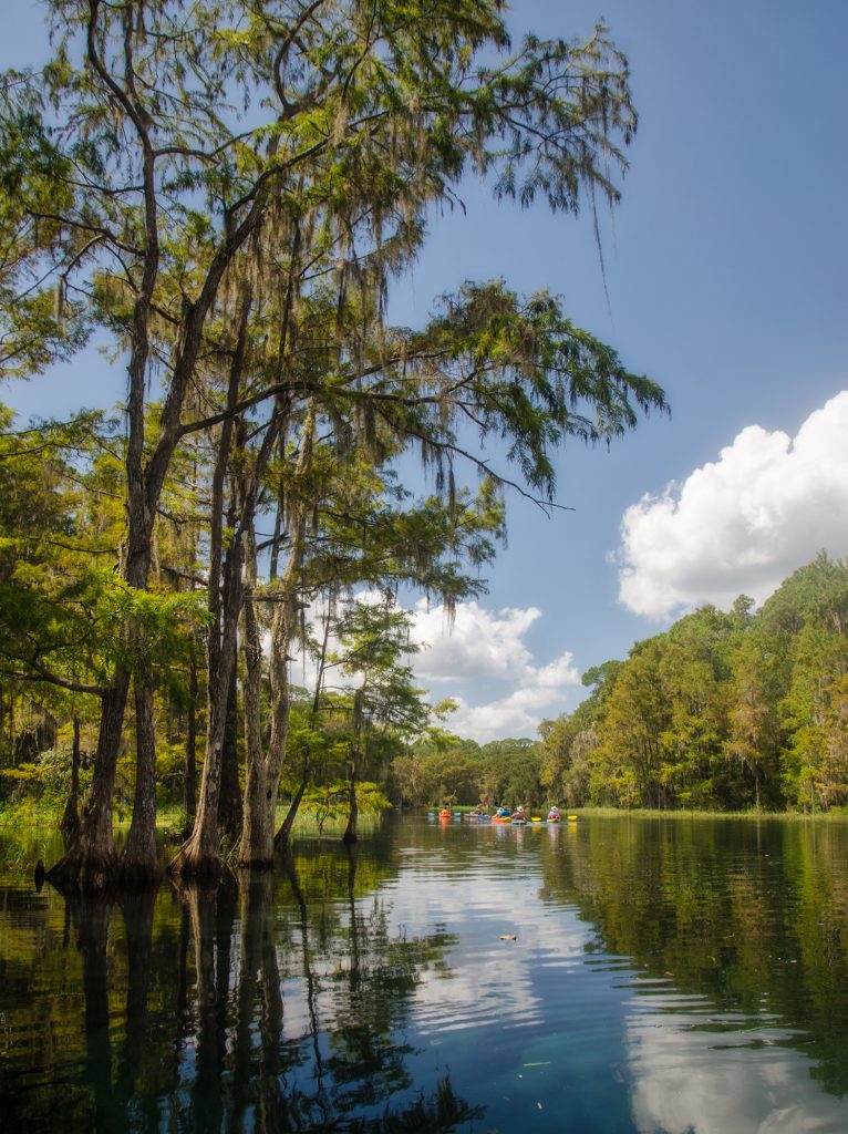 Down the Rainbow River