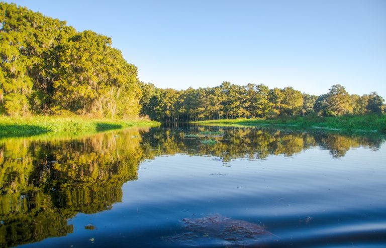 Entering Cross Creek from Little Lake Lochloosa | Florida Paddle Notes