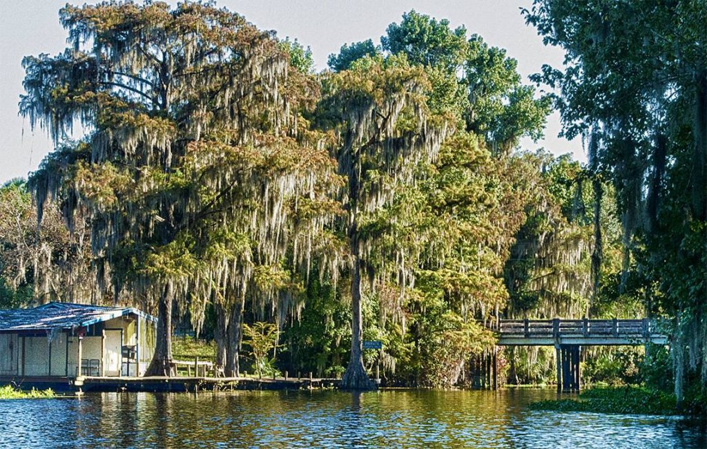 The Bridge at Cross Creek Florida