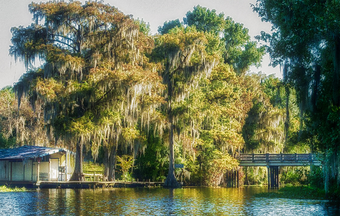 to Florida Paddle Notes Historic Cross Creek