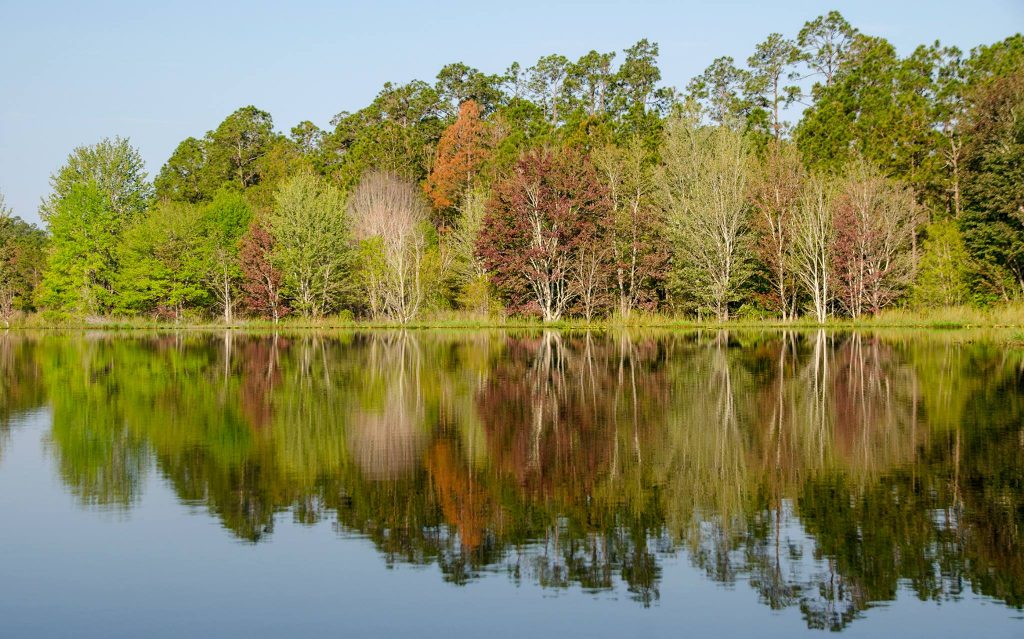 Colorful trees reflecting on Lake Fanny