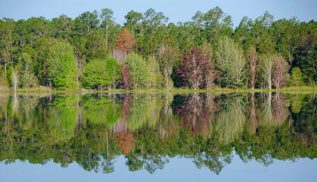 Lake Fanny Shoreline