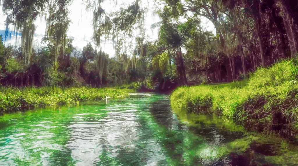 Paddling to Rock Spring