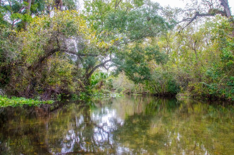 Welcome to Florida Paddle Notes - Rock Springs Run