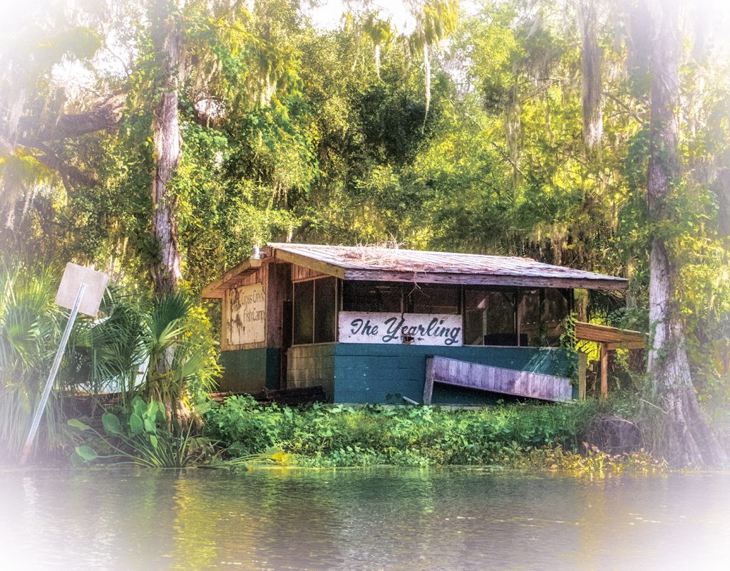 Yearling Shed