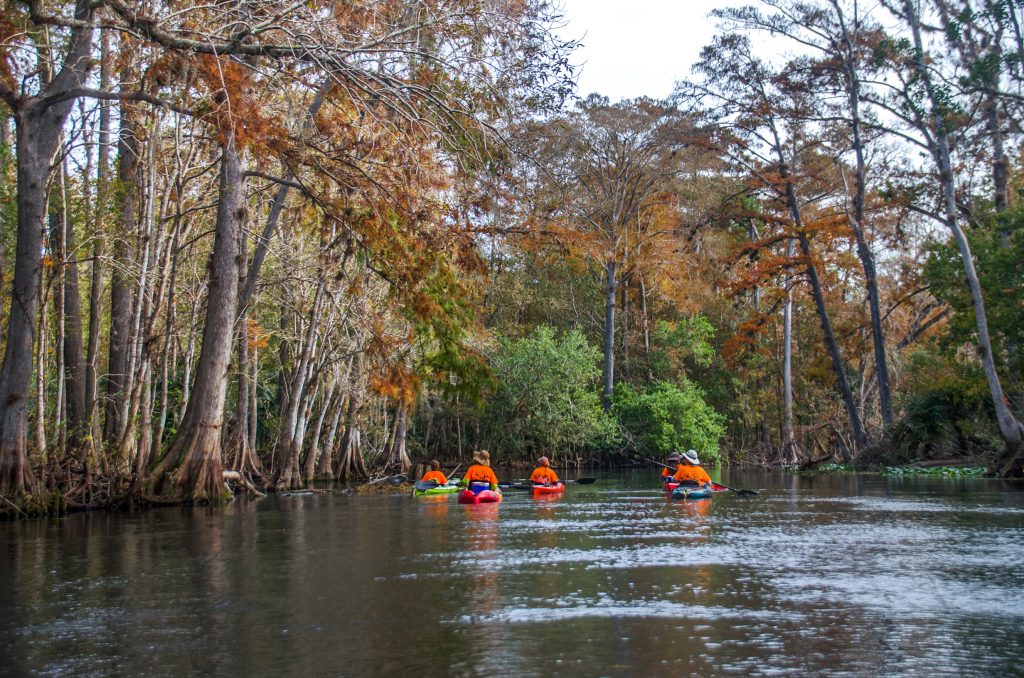 Approaching the Ocklawaha River