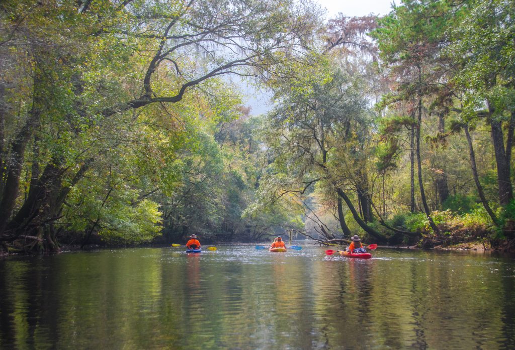 Drifting Downstream - Santa Fe River