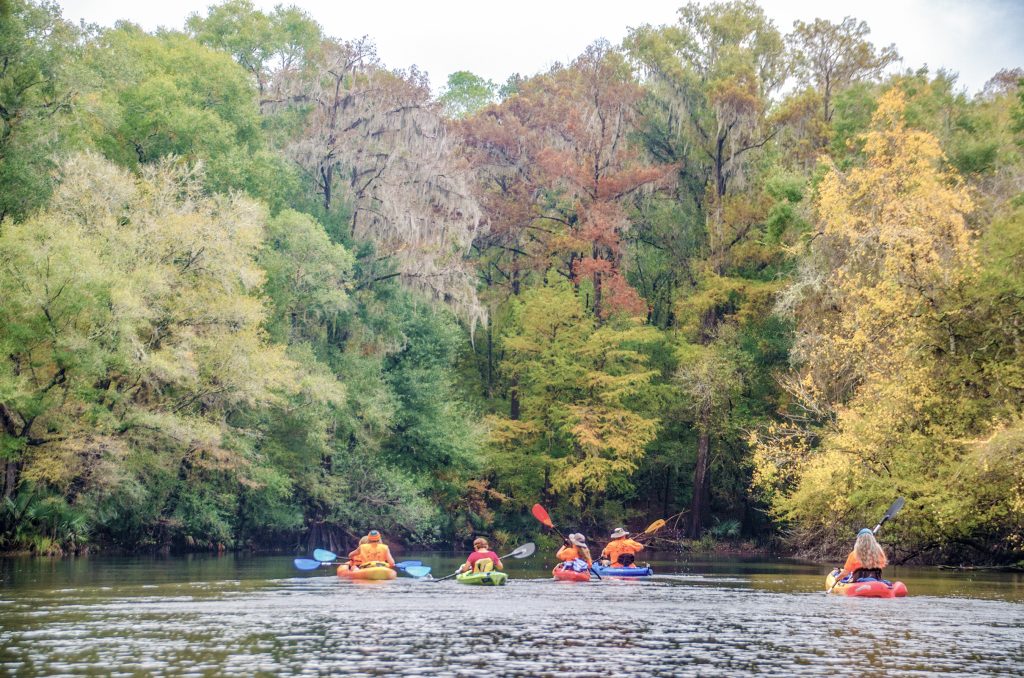 Fall on the Santa Fe River