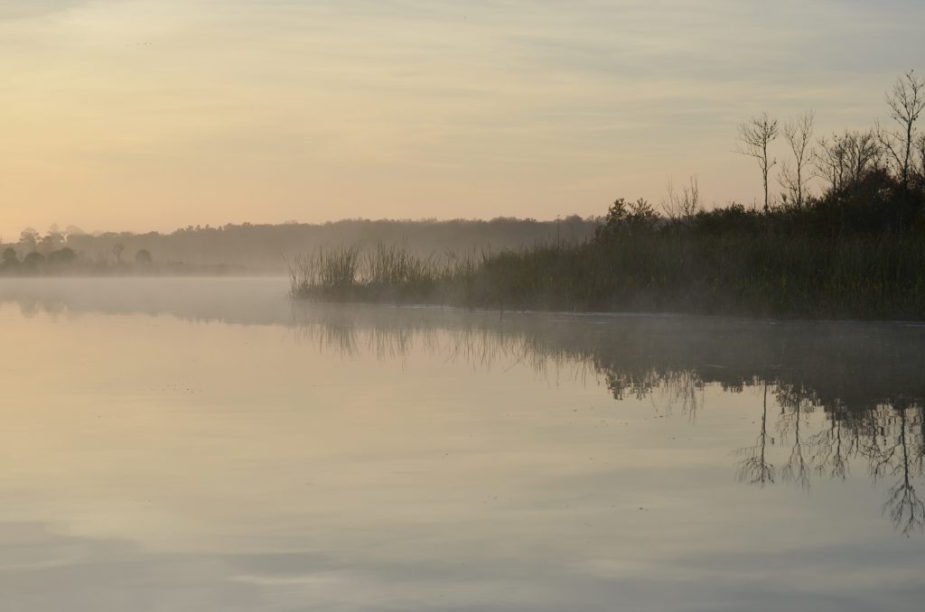 Grey misty morning on Salt Creek Run