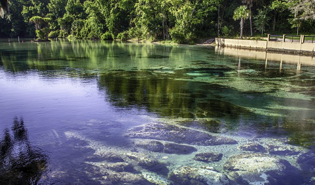 Morning at Salt Springs