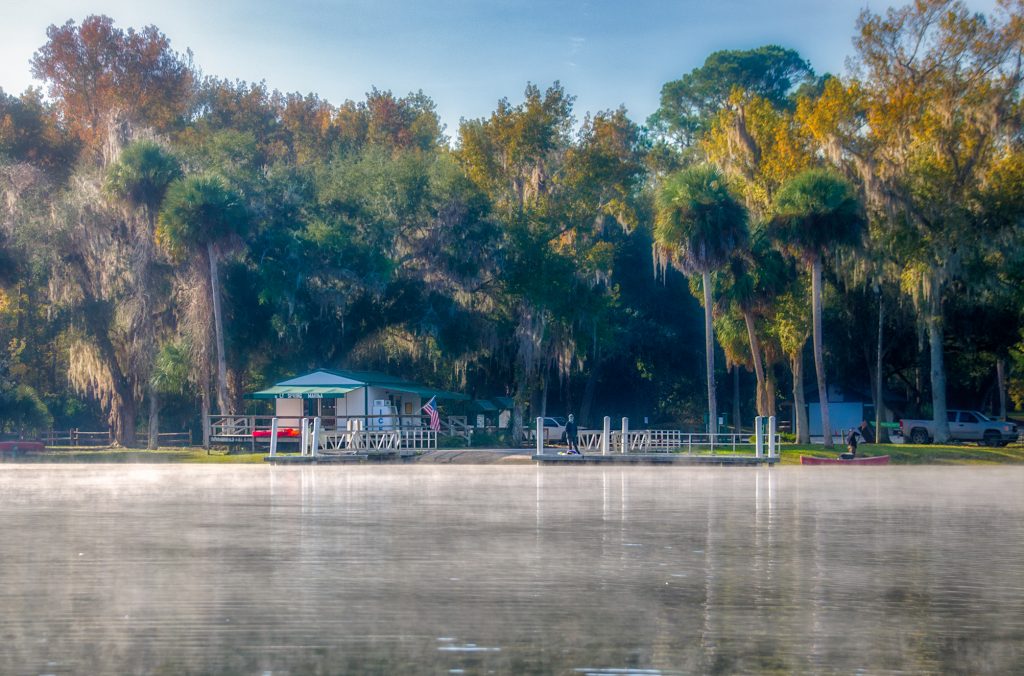 Salt Springs Marina