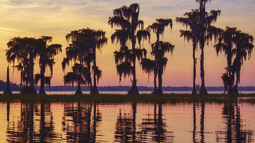 Welcome to Florida Paddle Notes - Santa Fe Lake