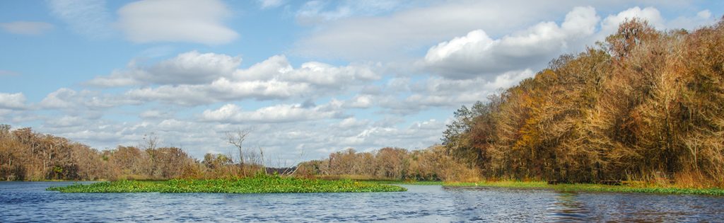 Withlacoochee River Banner