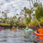 Paddling Otter Creek