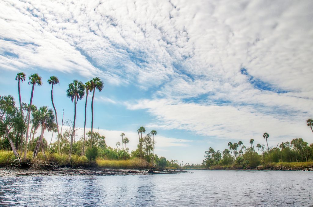 The Waccasassa River | Florida Paddle Notes