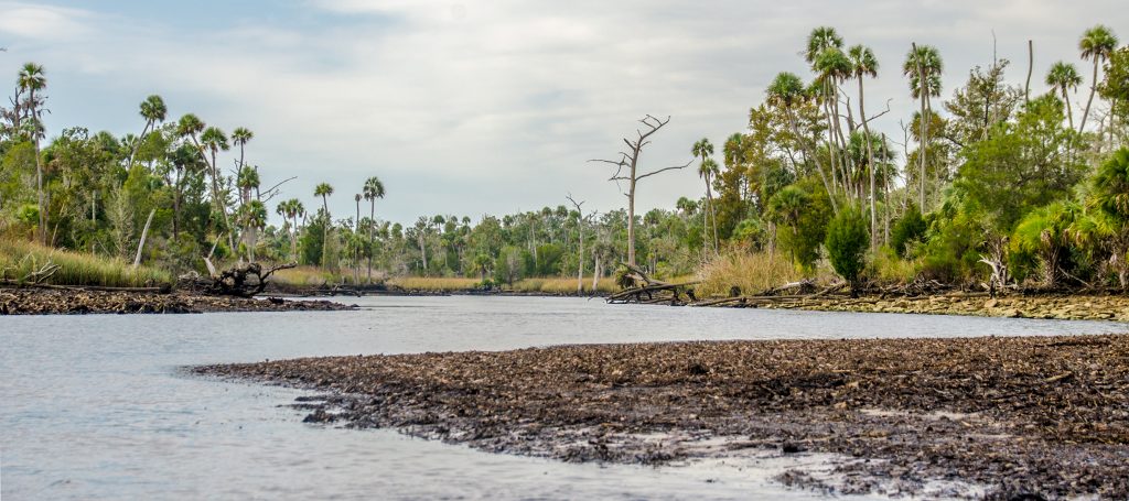 The Waccasassa River