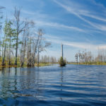 Okeefenokee Waterway