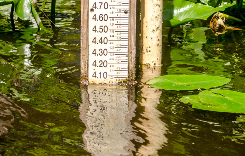 Average Depth 4.05' on Ocklawaha River