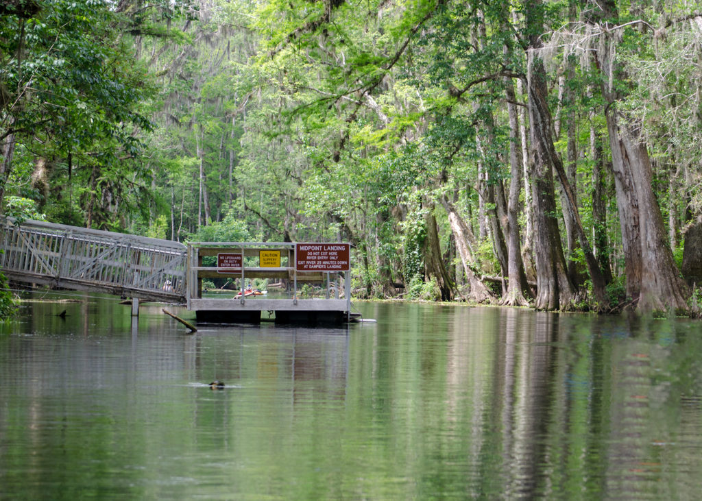 Midpoint Landing - Ichetucknee River