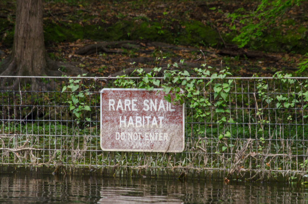 Rare Snail Habitat