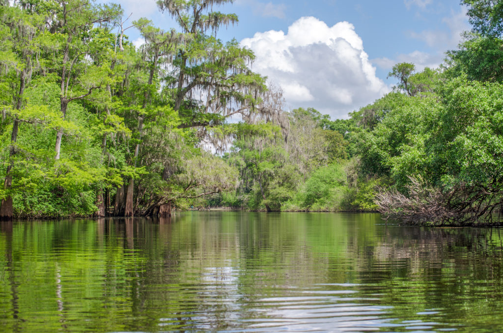 Santa Fe River at Ichetucknee River