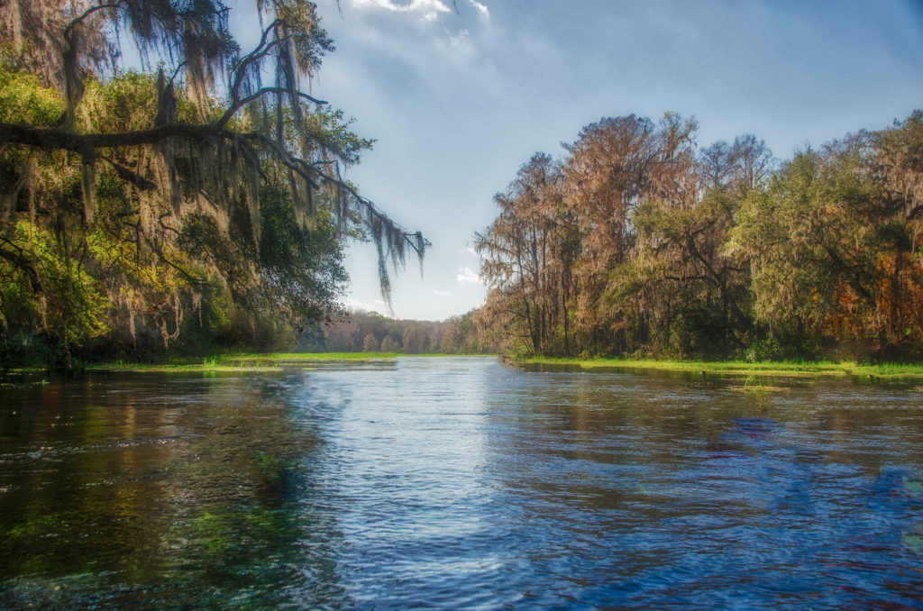 The Ichetucknee in Fall