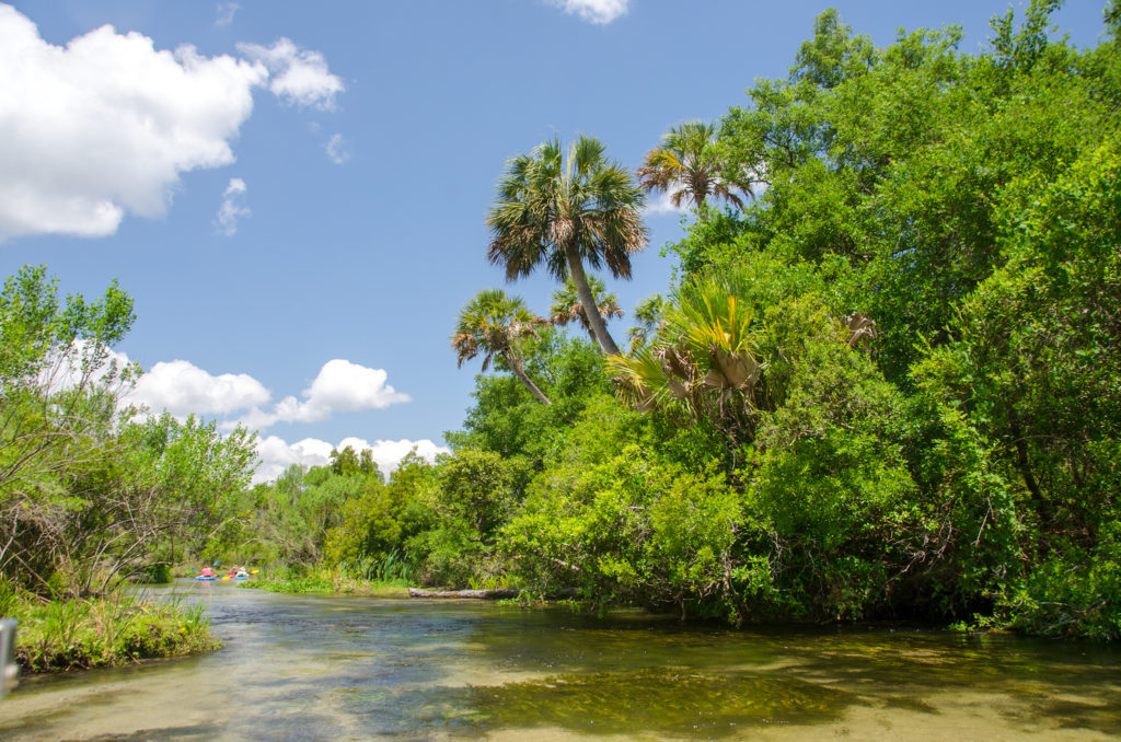 The Juniper Creek Wilderness