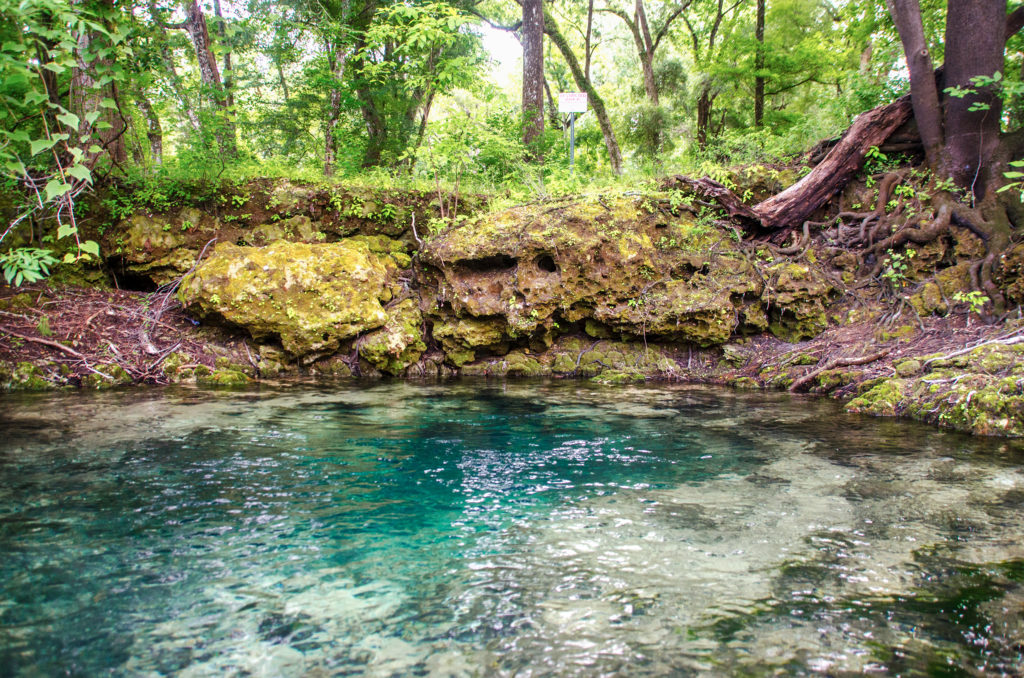 Rock Bluff Spring Side Vent