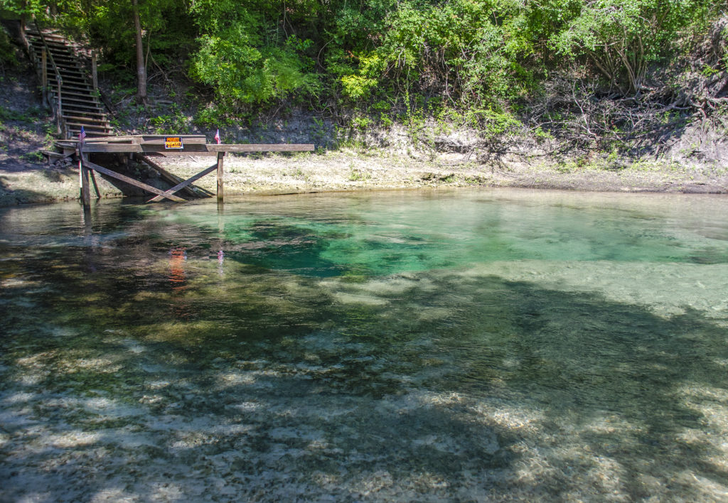 Mearson Spring from the Suwannee